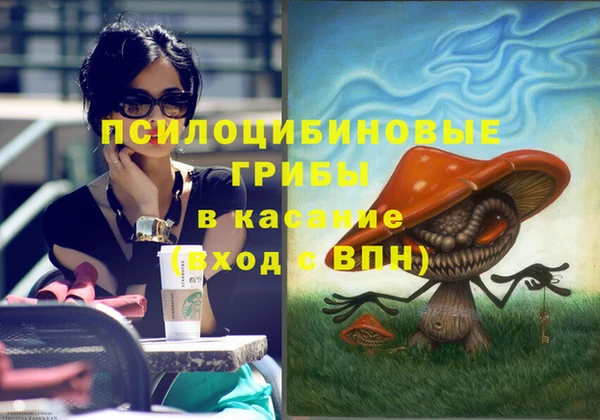 хмурый Карпинск