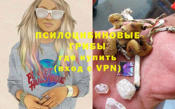 хмурый Карпинск