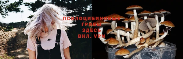 хмурый Карпинск