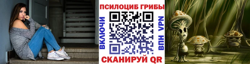 Псилоцибиновые грибы мицелий  Купить  Барыш 
